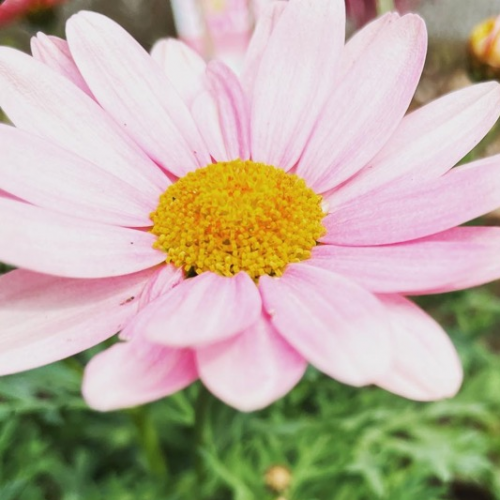 太田 奈津子 - キャリコン名鑑 | きゃりぽ(caripo) 太田 奈津子 - キャリコン名鑑 | きゃりぽ(caripo)